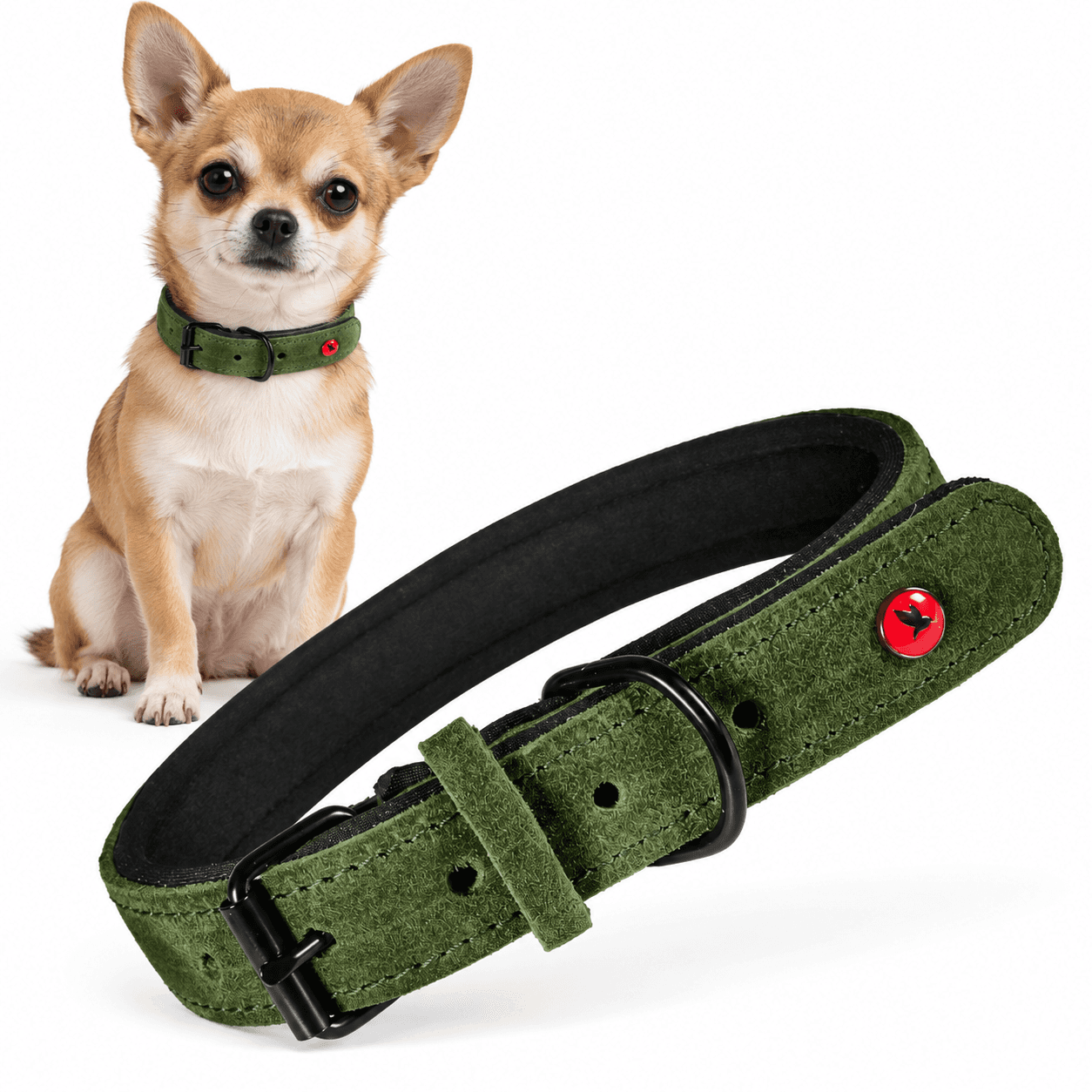 ZOLUX Komfort-Lederhalsband für Hunde, 17–24 cm, 14 mm, grün – Bild 1