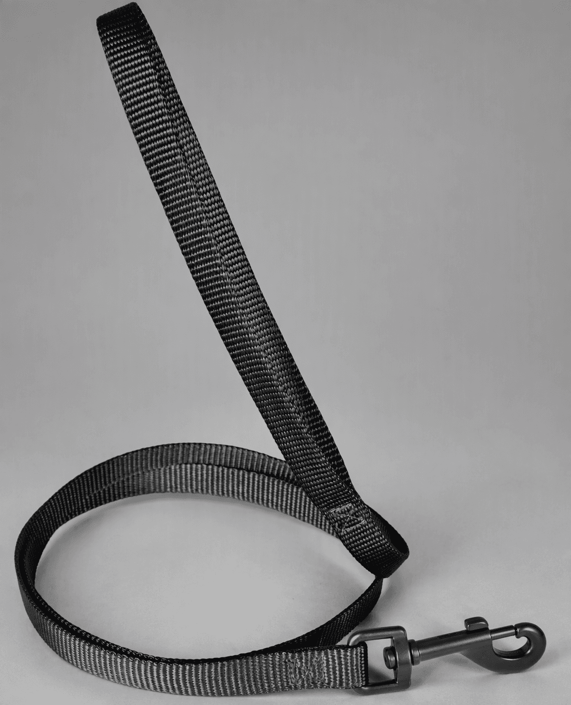 ZOLUX Klassische Nylon-Hundeleine, 1,20 m, 25 mm, schwarz – Bild 8