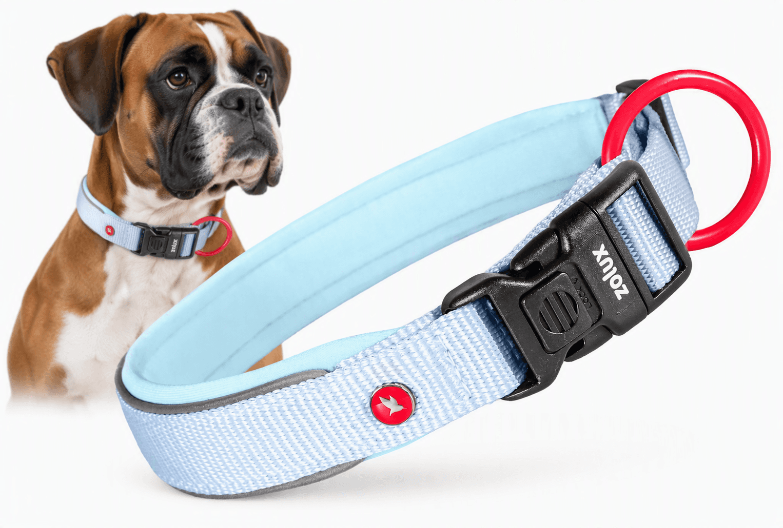 ZOLUX Premium-Nylon-Hundehalsband, Größe XL, 50–55 cm, 25 mm, hellblau – Bild 1