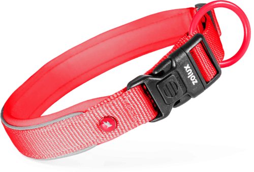 ZOLUX Premium-Nylon-Hundehalsband, Größe M, 40–45 cm, 20 mm, rot – Bild 2