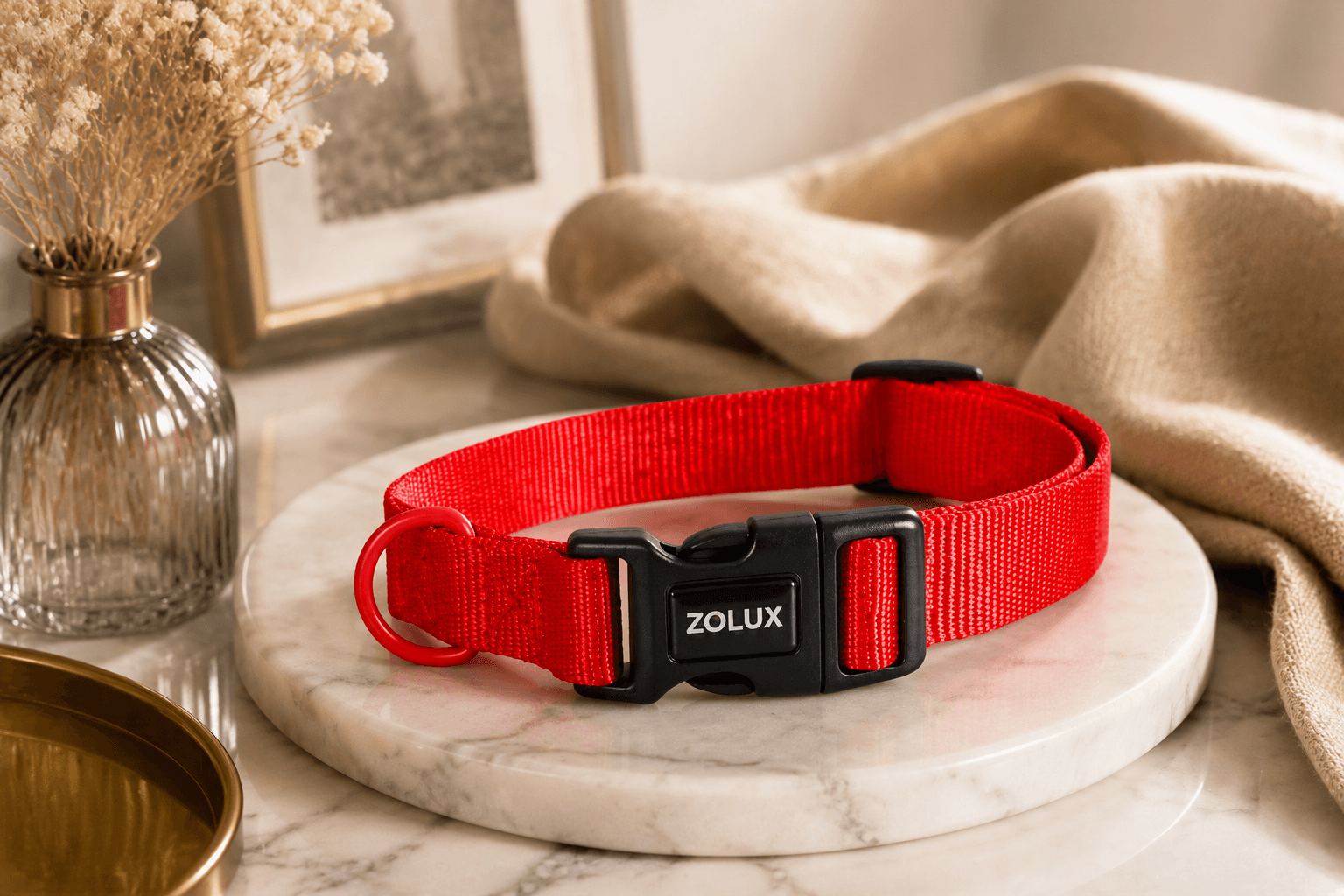 ZOLUX Klassisches Nylon-Hundehalsband, 21–36 cm, 10 mm, rot – Bild 4