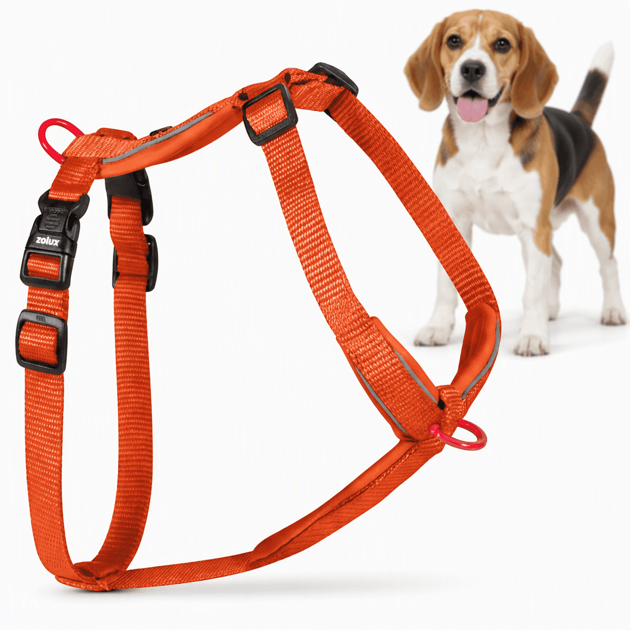 ZOLUX Premium-Nylon-Hundegeschirr, Größe M, 50–74 cm, 20 mm, rostbraun – Bild 1