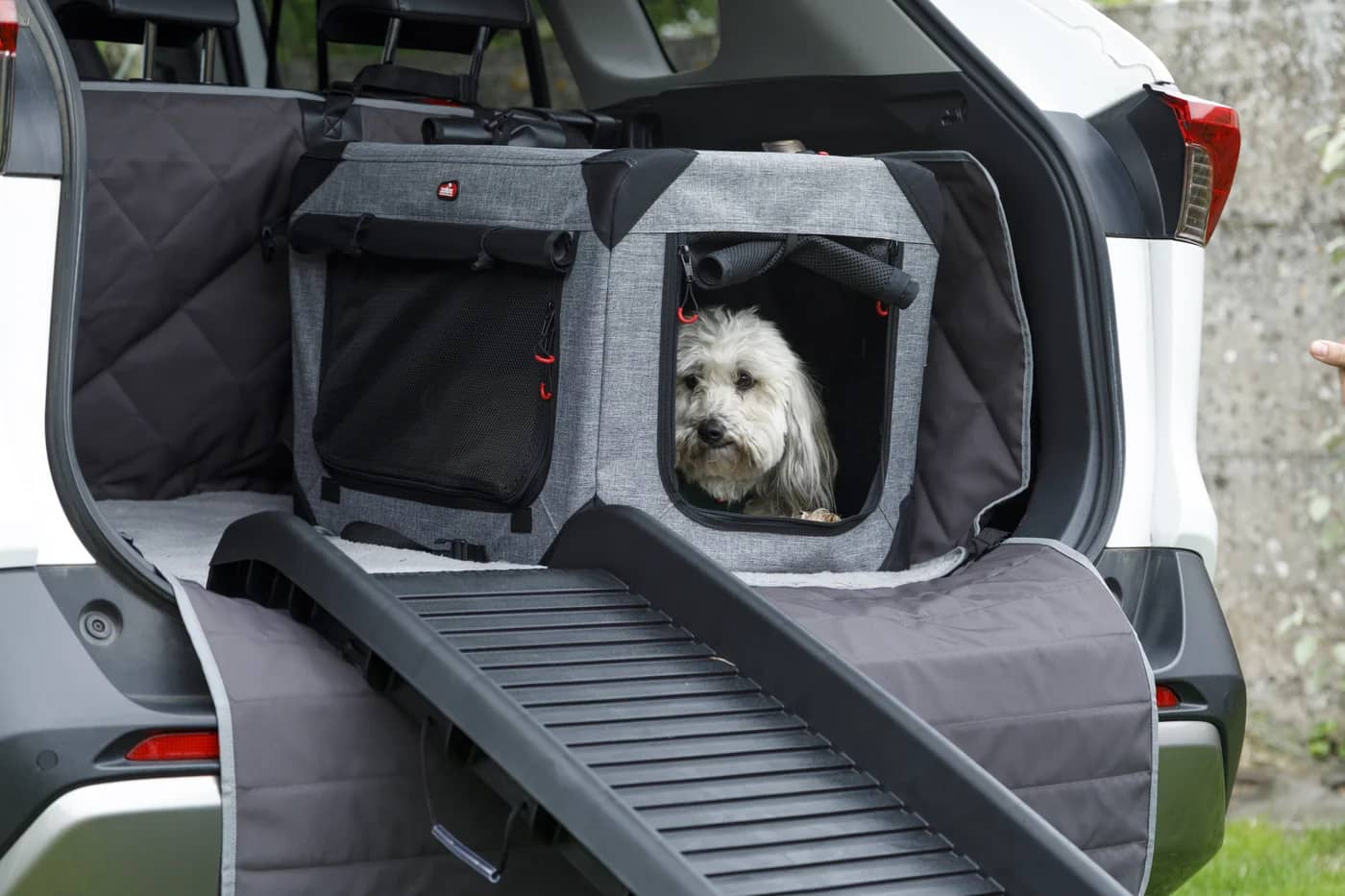 Miniaturbild 5