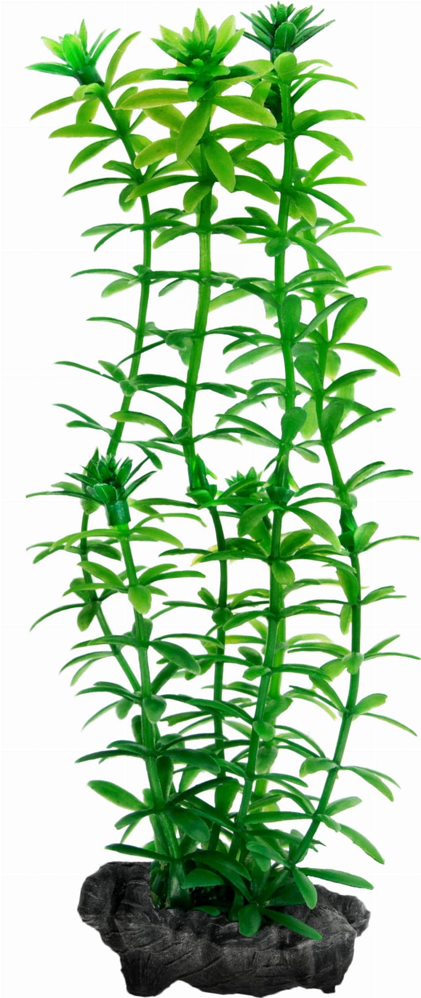Miniaturbild 2