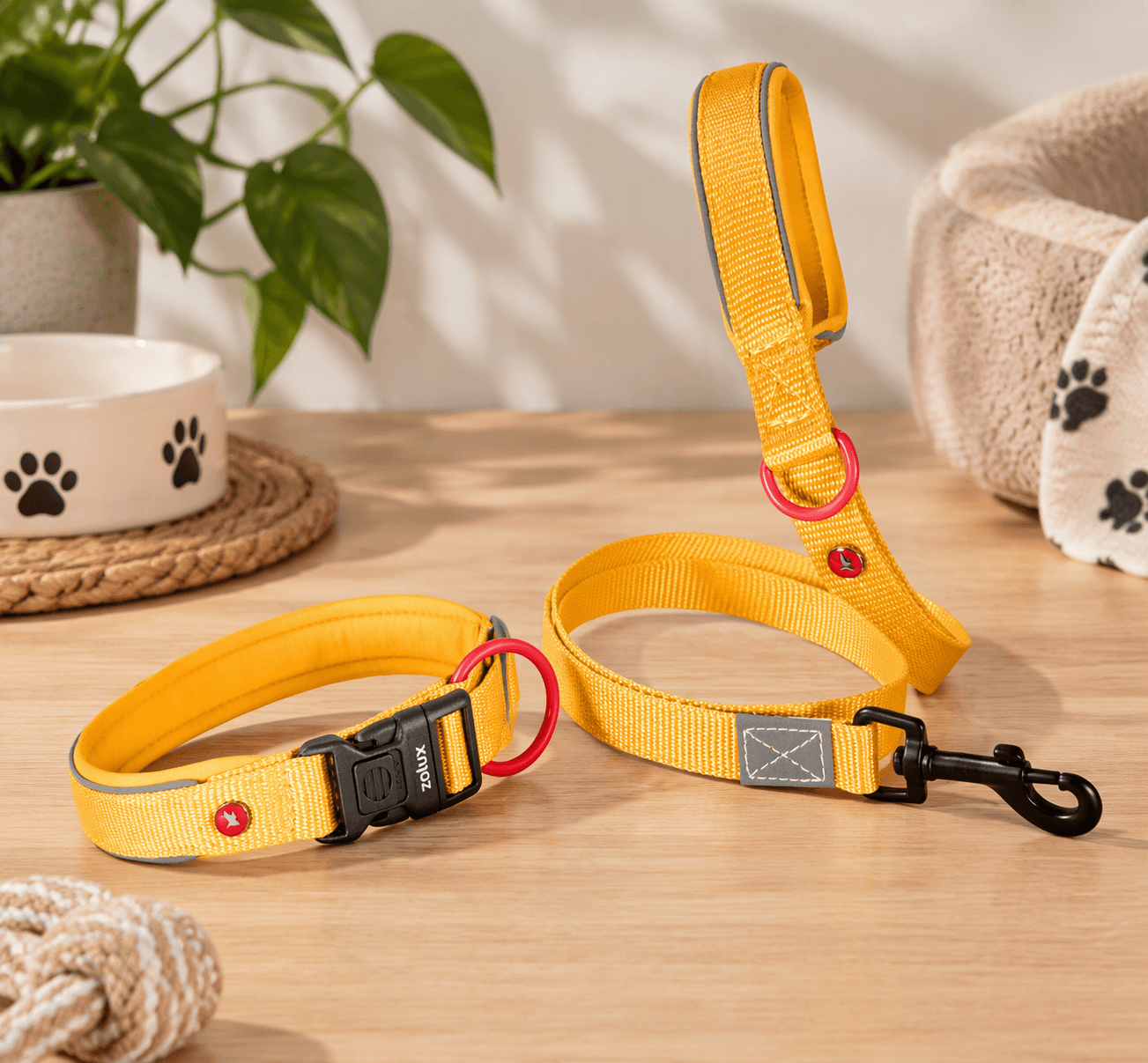 ZOLUX Premium-Nylon-Hundeleine, Größe M, 1,2 m, 20 mm, gelb – Bild 7
