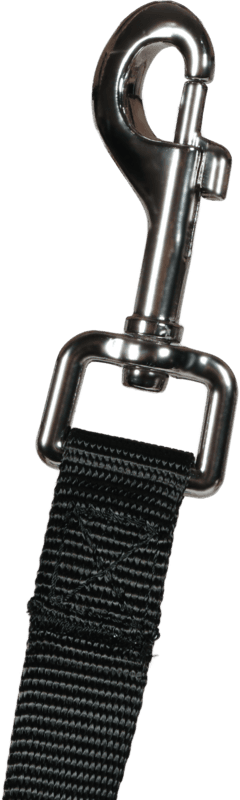 ZOLUX Lange Gurtbandleine für Hunde, 5 m, 20 mm, schwarz – Bild 4
