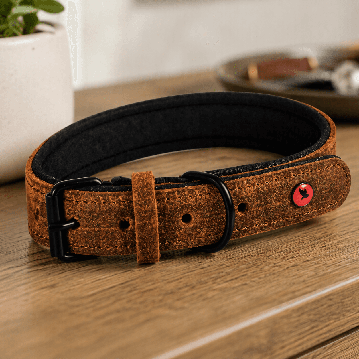 ZOLUX Komfort-Lederhalsband für Hunde, 38–48 cm, 25 mm, braun – Bild 13