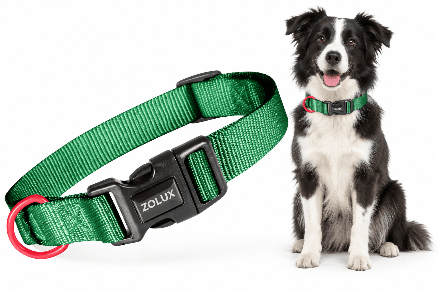 ZOLUX Klassisches Nylon-Hundehalsband, 31–48 cm, 20 mm, grün – Bild 1