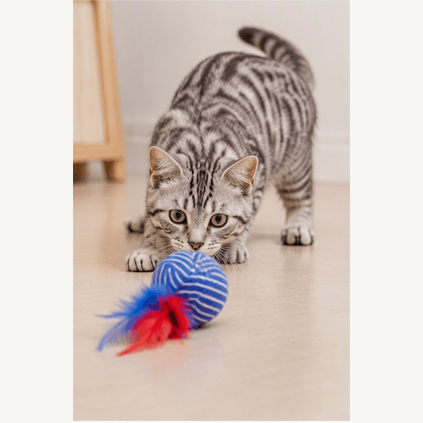 ZOLUX Katzenspielzeug MALO Ball mit Federn, 4 cm, blau – Bild 6