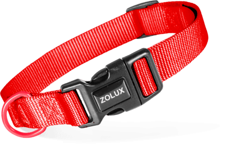 ZOLUX Klassisches Nylon-Hundehalsband, 37–58 cm, 25 mm, rot – Bild 2