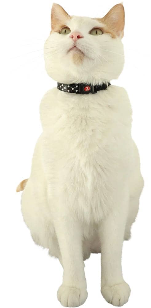 ZOLUX CHATOUILLE Katzenhalsband mit Maus-Anhänger, schwarz – Bild 2