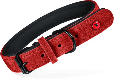 ZOLUX Komfort-Lederhalsband für Hunde, 17–24 cm, 14 mm, rot – Bild 2