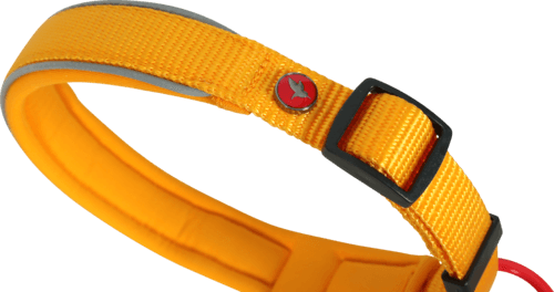 ZOLUX Premium-Nylon-Hundehalsband, Größe M, 40–45 cm, 20 mm, gelb – Bild 5