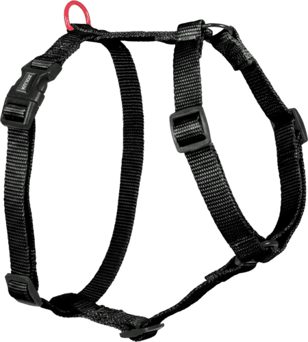 ZOLUX Klassisches Nylon-Hundegeschirr, 60–89 cm, 25 mm, schwarz – Bild 2