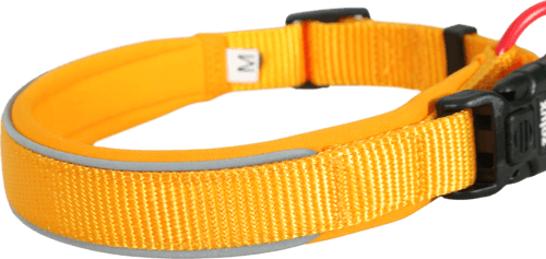 ZOLUX Premium-Nylon-Hundehalsband, Größe S, 35–40 cm, 20 mm, gelb – Bild 8