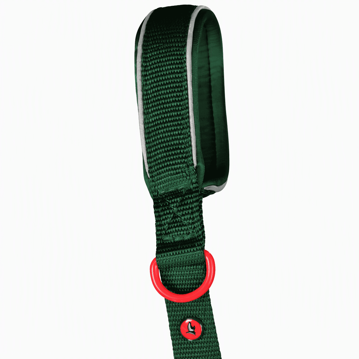 ZOLUX Premium-Nylon-Hundeleine, Größe XL, 1,2 m, 25 mm, grün – Bild 4