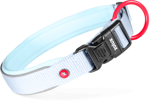 ZOLUX Premium-Nylon-Hundehalsband, Größe L, 45–50 cm, 25 mm, hellblau – Bild 2