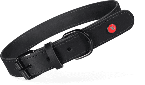 ZOLUX Klassisches Lederhalsband für Hunde, 30–36 cm, 16 mm, schwarz – Bild 1