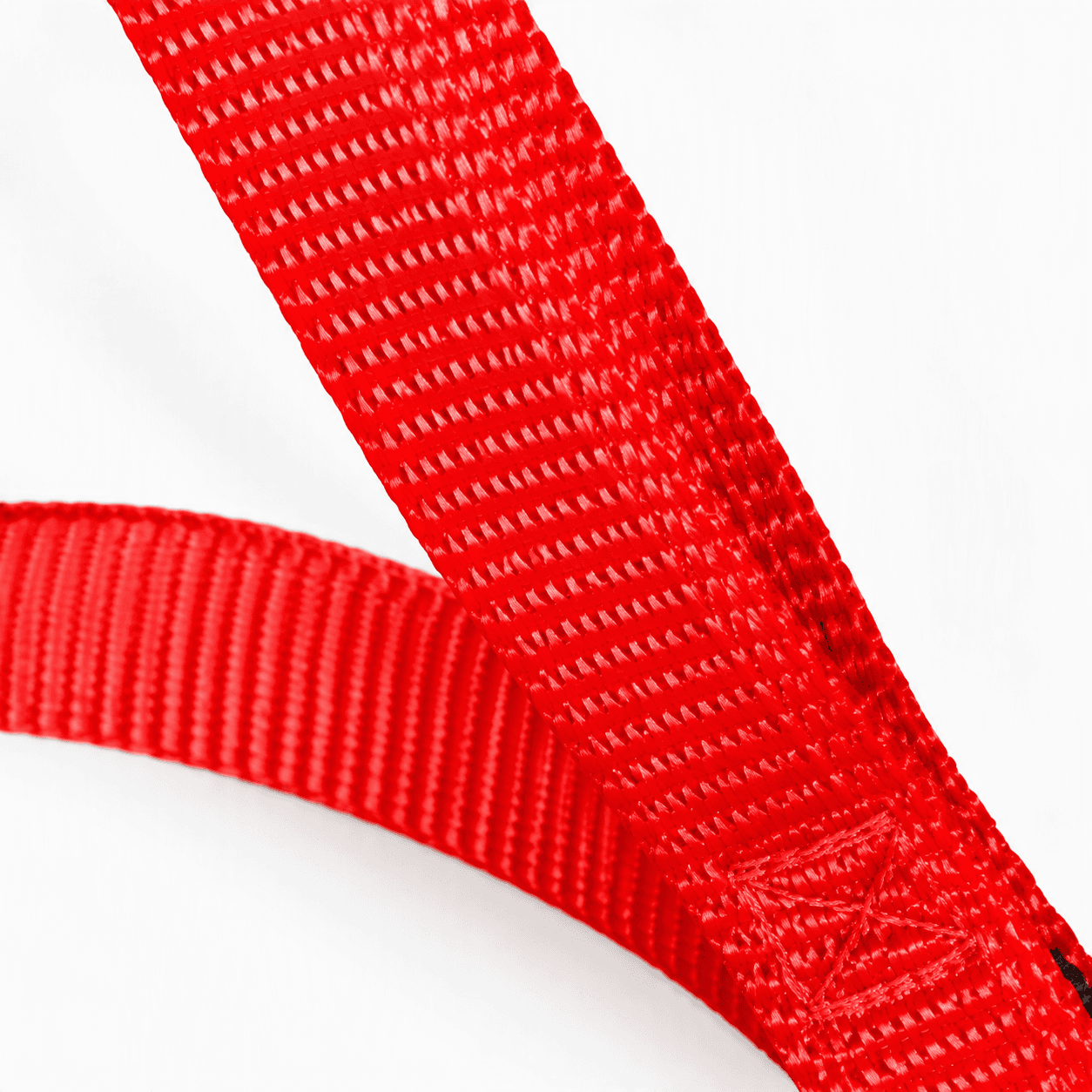 ZOLUX Klassische Nylon-Hundeleine, 1,20 m, 10 mm, rot – Bild 5