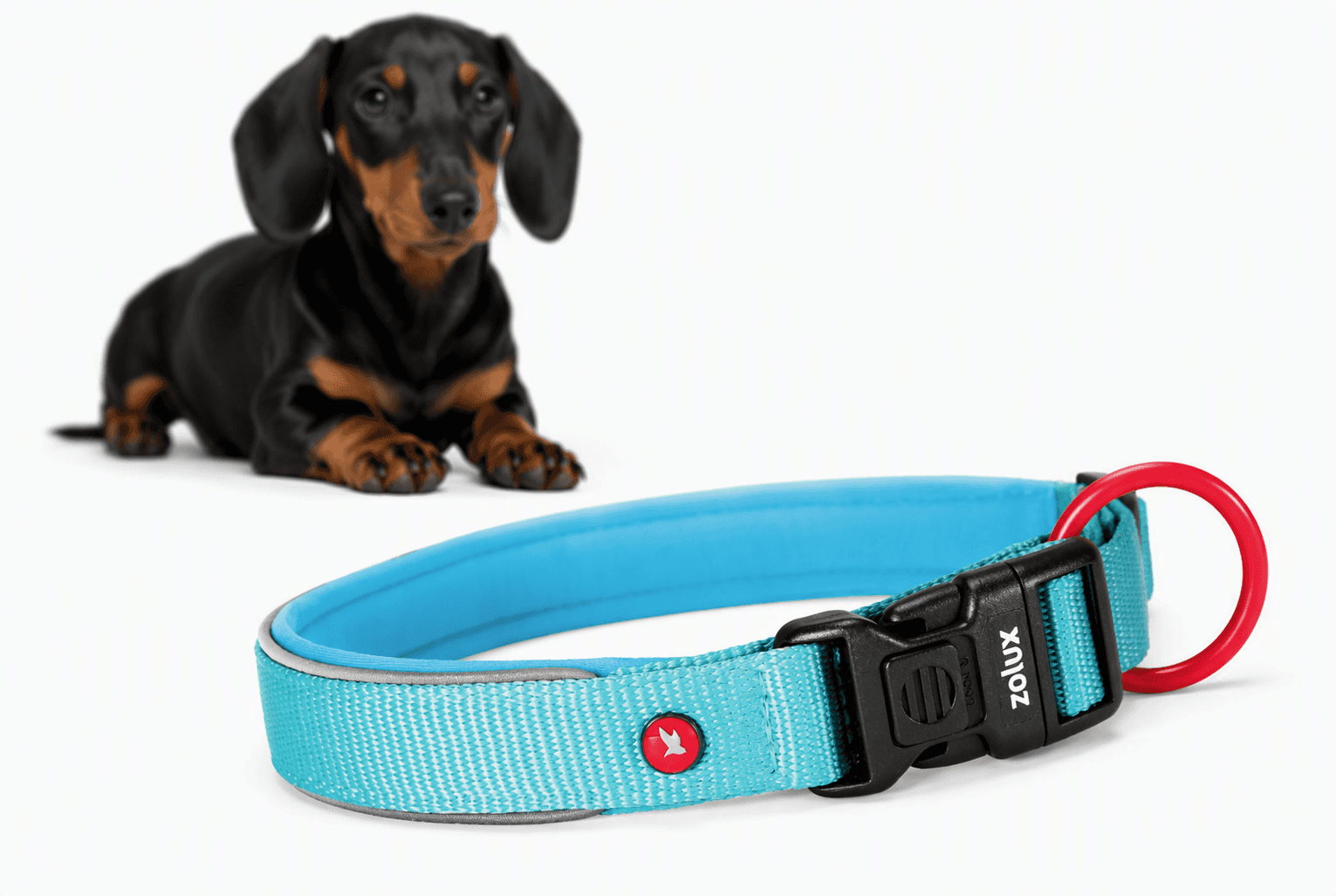 ZOLUX Premium-Nylon-Hundehalsband, Größe XS, 30–35 cm, 15 mm, türkis – Bild 1