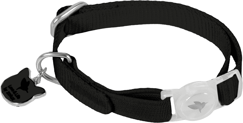 ZOLUX CLASSIC Katzenhalsband mit Anhänger, 20–30 cm, schwarz – Bild 3