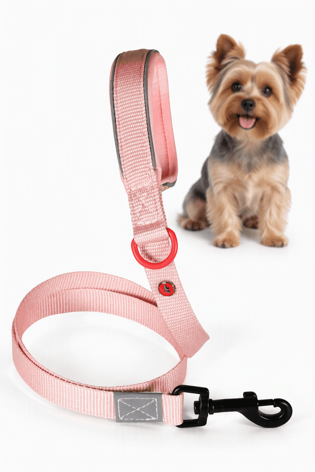 ZOLUX Premium-Nylon-Hundeleine, Größe XS, 1,2 m, 15 mm, rosa – Bild 1