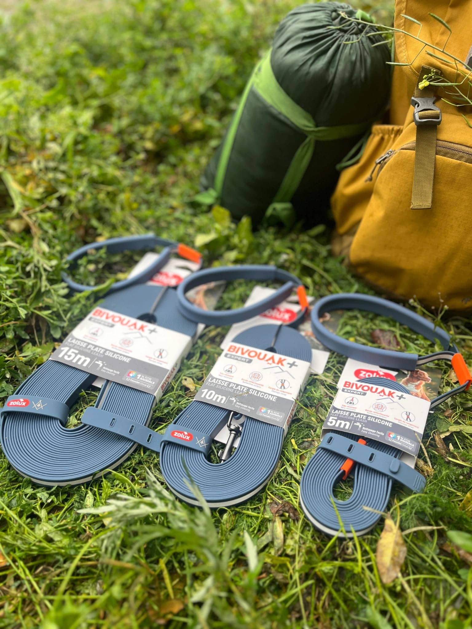 ZOLUX Flache Silikon- Hundeleine für BIVOUAK blau 15m – Bild 4
