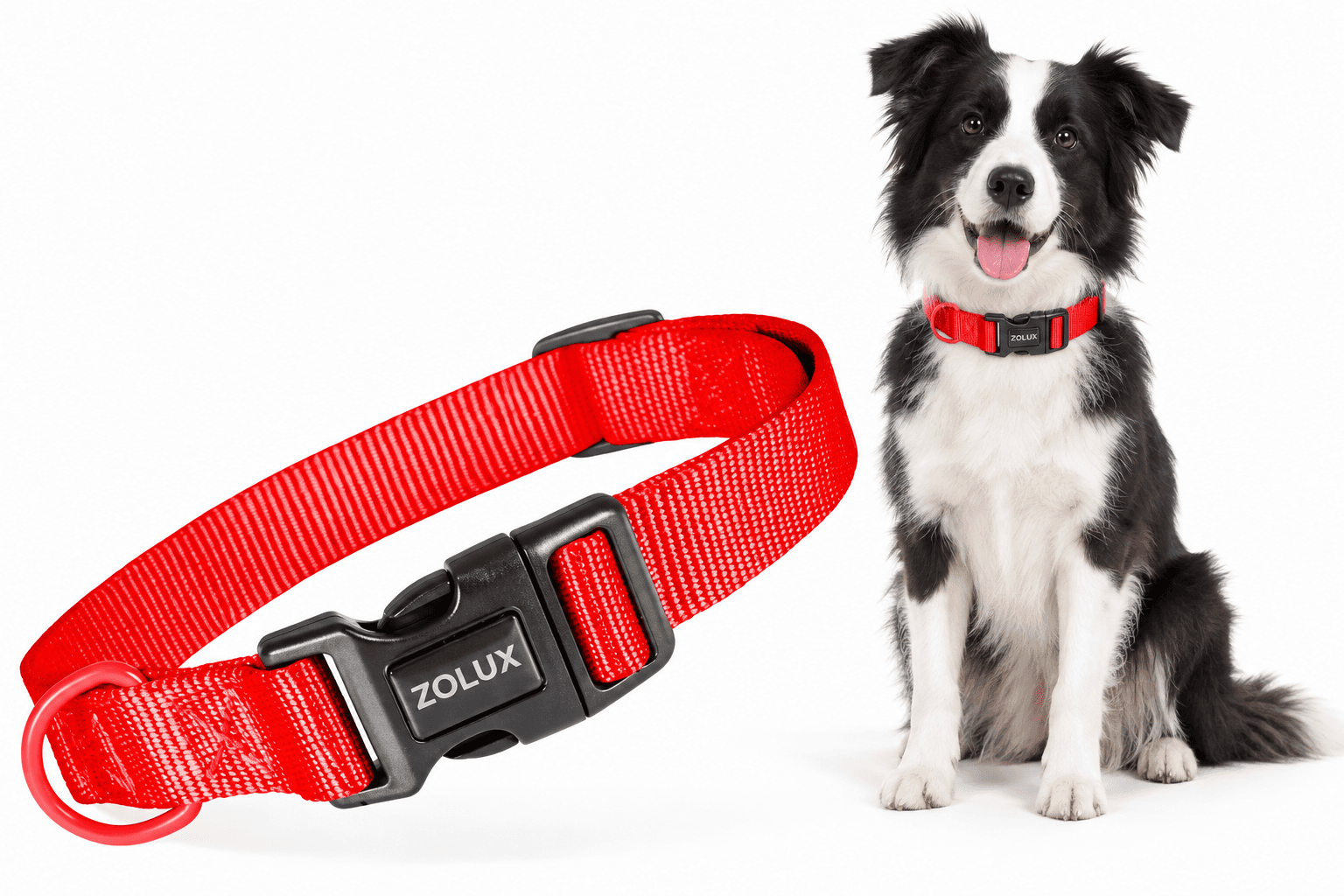 ZOLUX Klassisches Nylon-Hundehalsband, 31–48 cm, 20 mm, rot – Bild 3