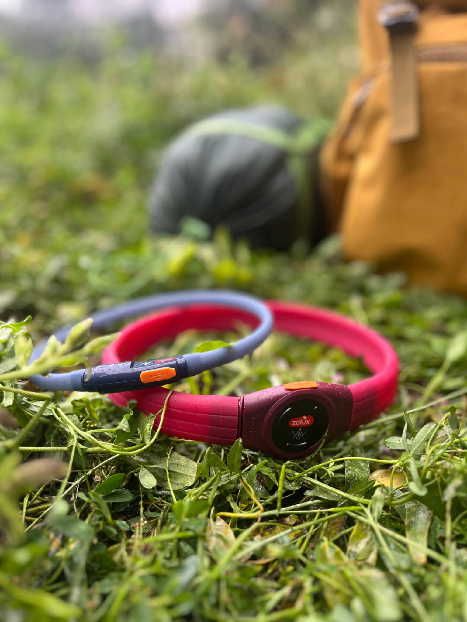 ZOLUX LED-Hundehalsband – Leuchtend, Silikon – Für langes Fell – BIVOUAK, Rot – Bild 6