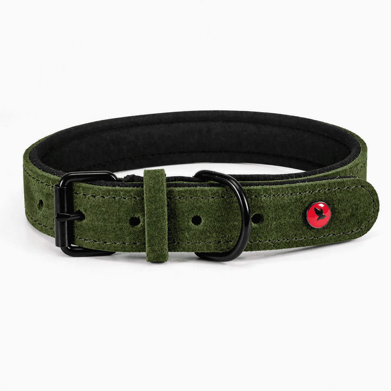 ZOLUX Komfort-Lederhalsband für Hunde, 34–44 cm, 20 mm, grün – Bild 8