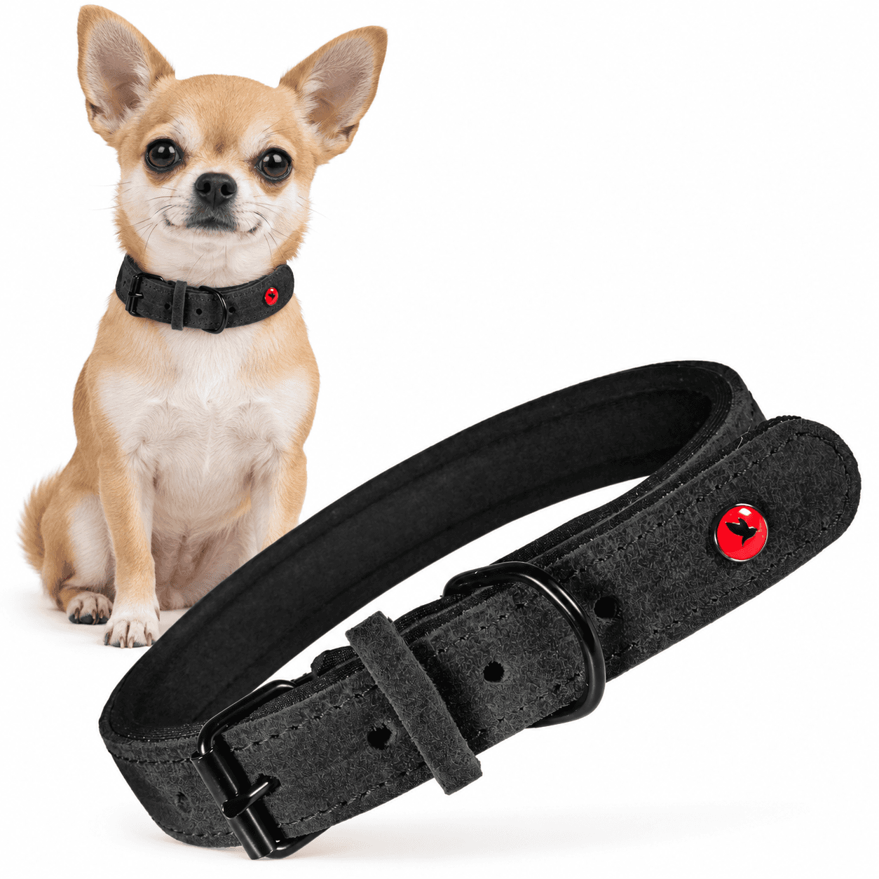 ZOLUX Komfort-Lederhalsband für Hunde, 23–30 cm, 14 mm, schwarz – Bild 1
