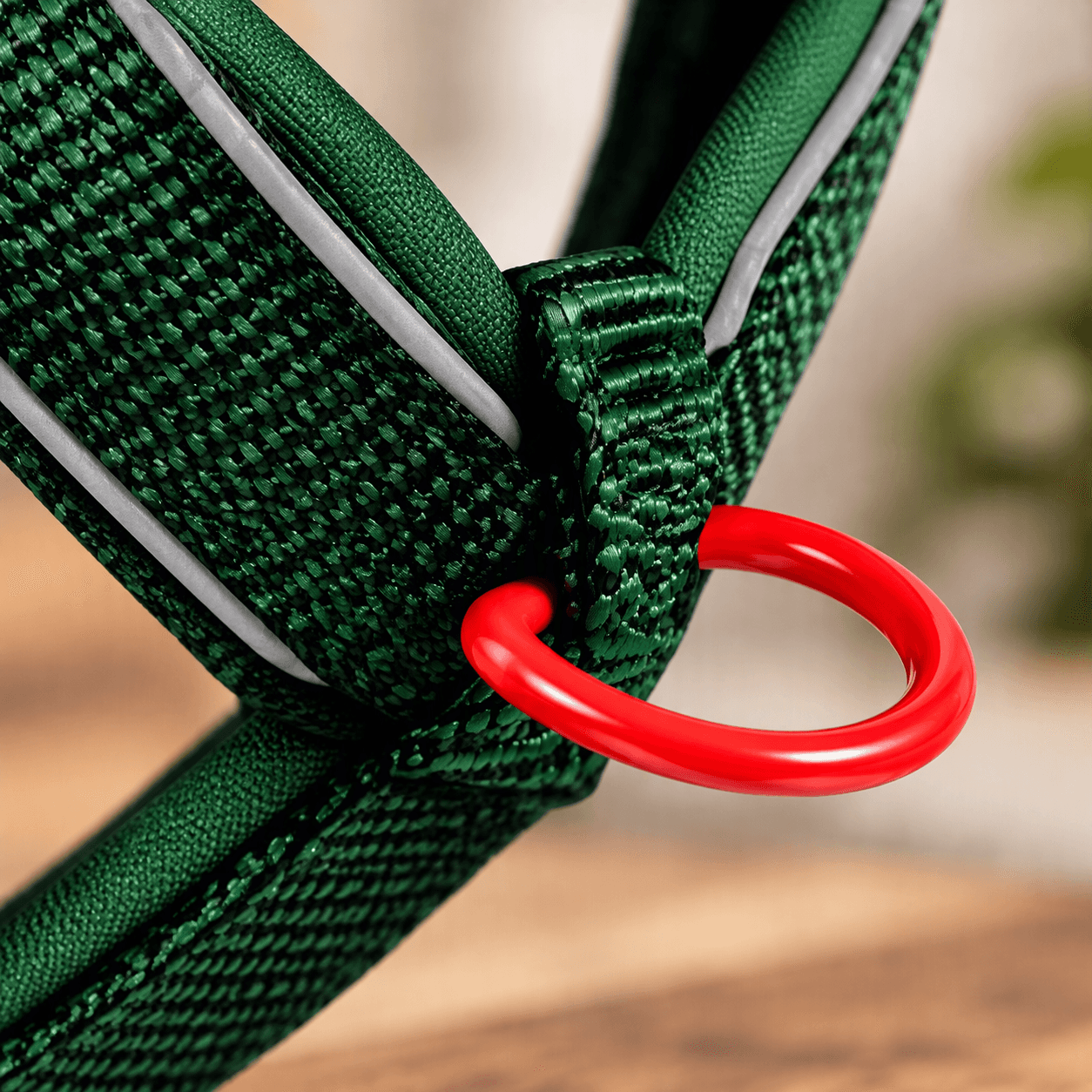 ZOLUX Premium-Nylon-Hundegeschirr, Größe M, 50–74 cm, 20 mm, grün – Bild 6
