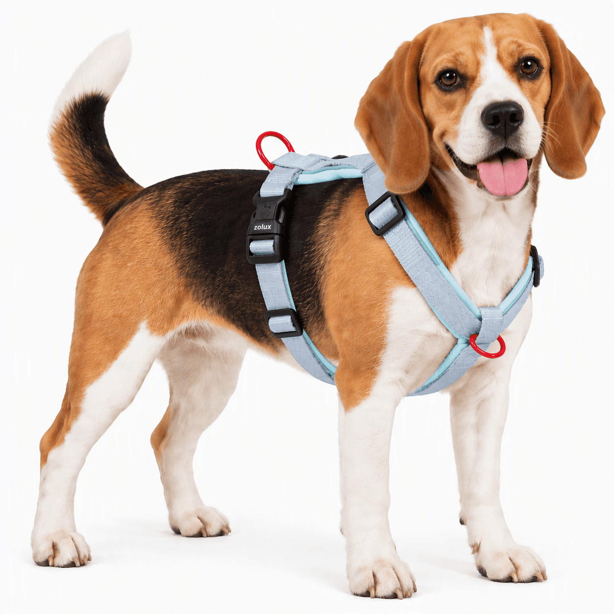 ZOLUX Premium-Nylon-Hundegeschirr, Größe M, 50–74 cm, 20 mm, hellblau – Bild 6