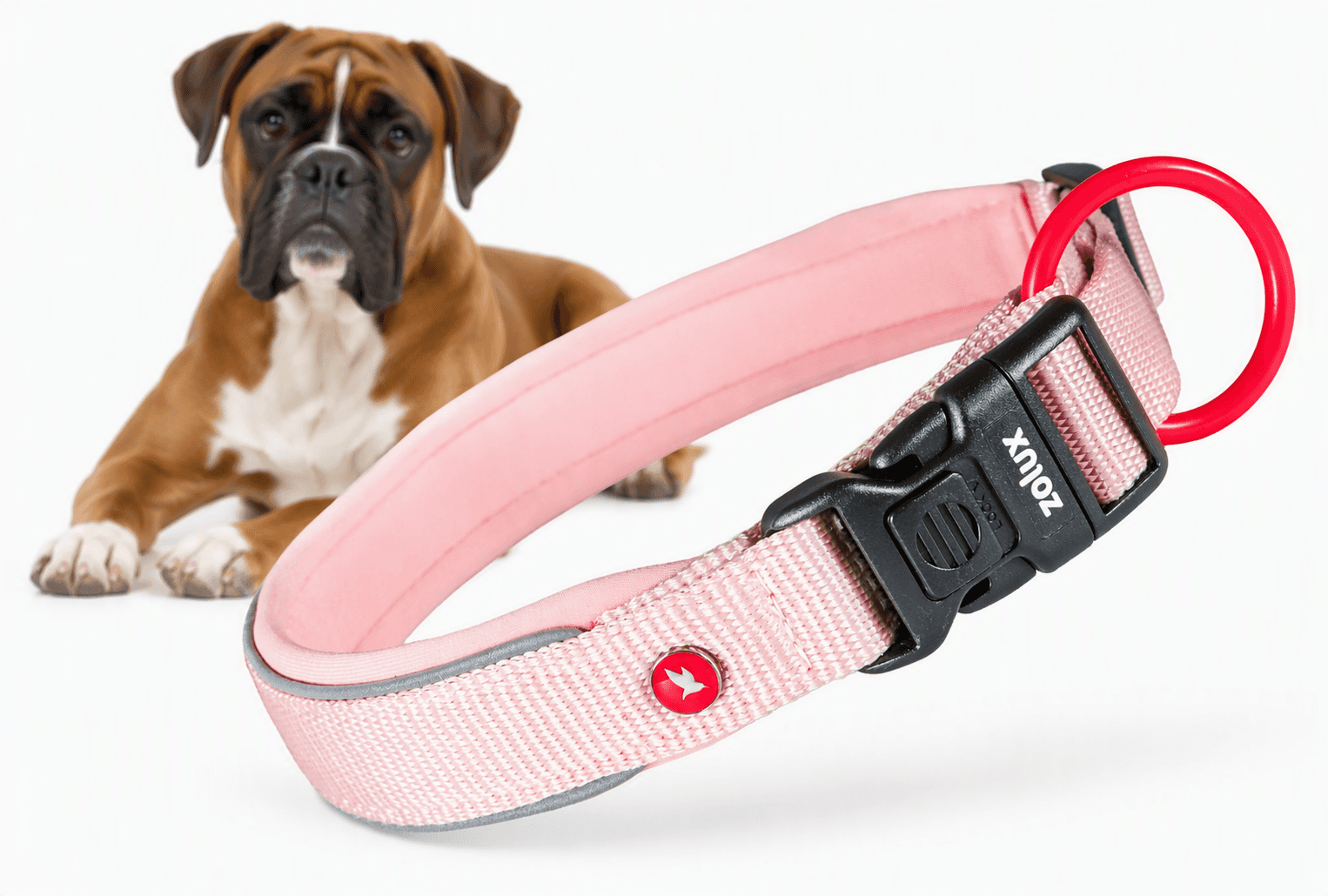 ZOLUX Premium-Nylon-Hundehalsband, Größe XL, 50–55 cm, 25 mm, rosa – Bild 1