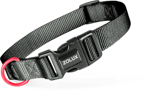 ZOLUX Klassisches Nylon-Hundehalsband, 37–58 cm, 25 mm, schwarz – Bild 2