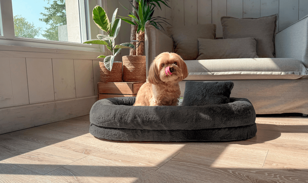 ZOLUX Ovales Hundebett GAIA mit Memory-Schaum, 70 cm, grau – Bild 10