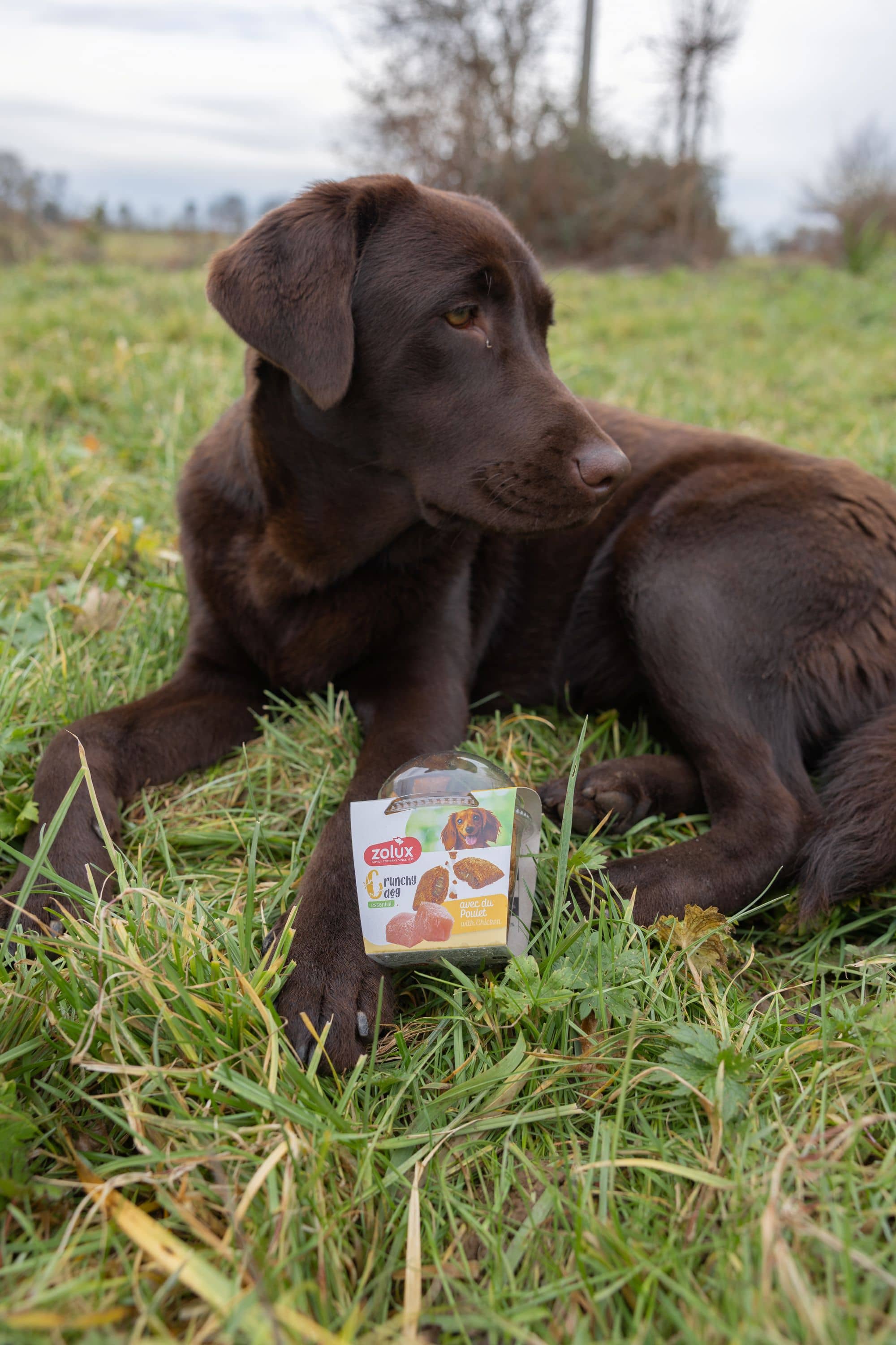 ZOLUX CRUNCHY DOG Hundekekse mit Lachs 75 g – Bild 20