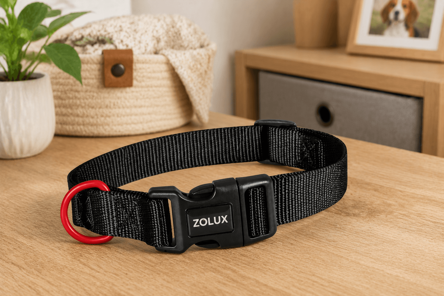 ZOLUX Klassisches Nylon-Hundehalsband, 26–39 cm, 15 mm, schwarz – Bild 4