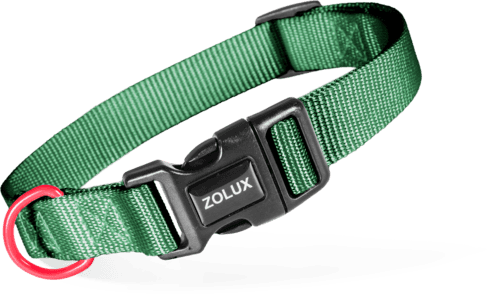 ZOLUX Klassisches Nylon-Hundehalsband, 26–39 cm, 15 mm, grün – Bild 2