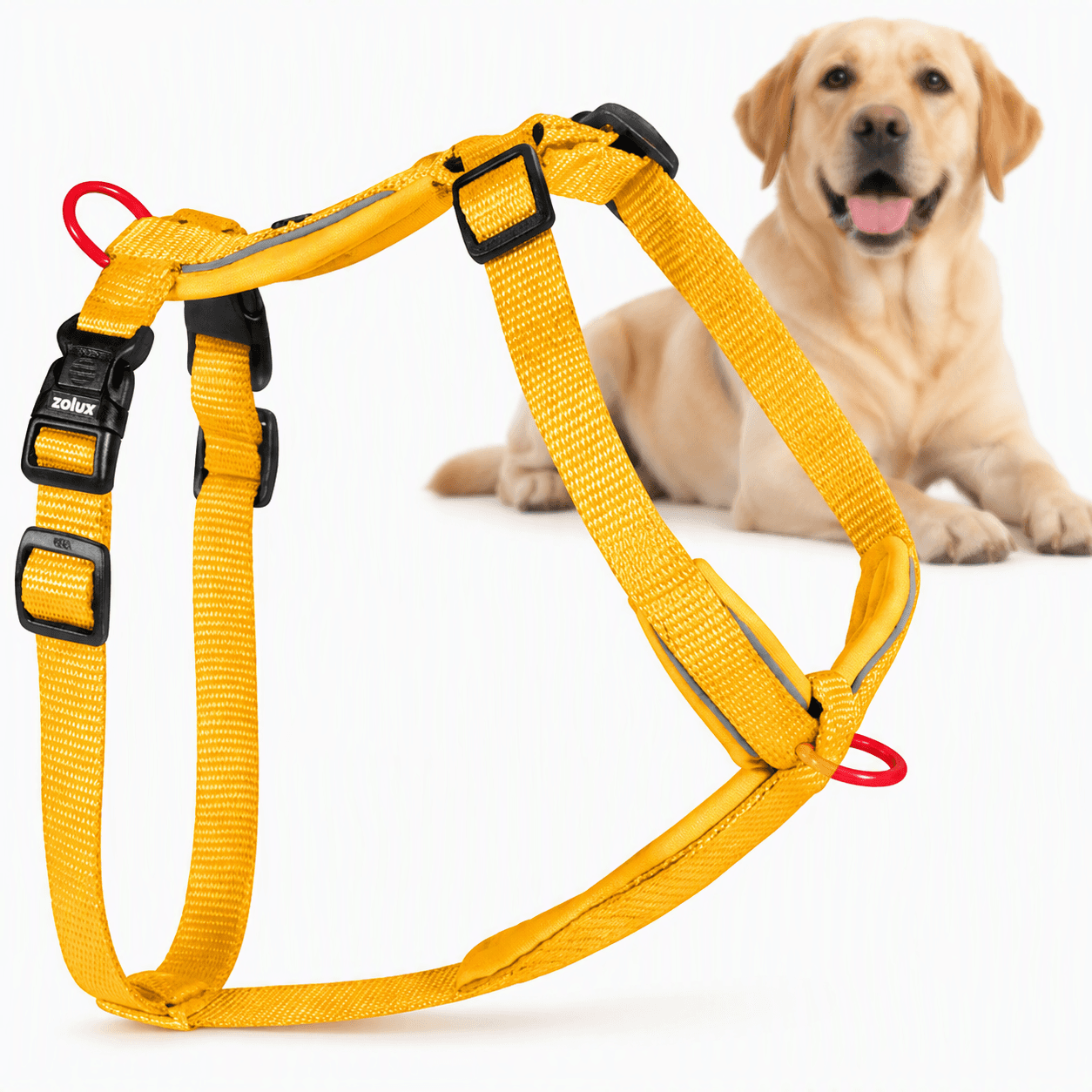 ZOLUX Premium-Nylon-Hundegeschirr, Größe L/XL, 65–97 cm, 25 mm, gelb – Bild 1