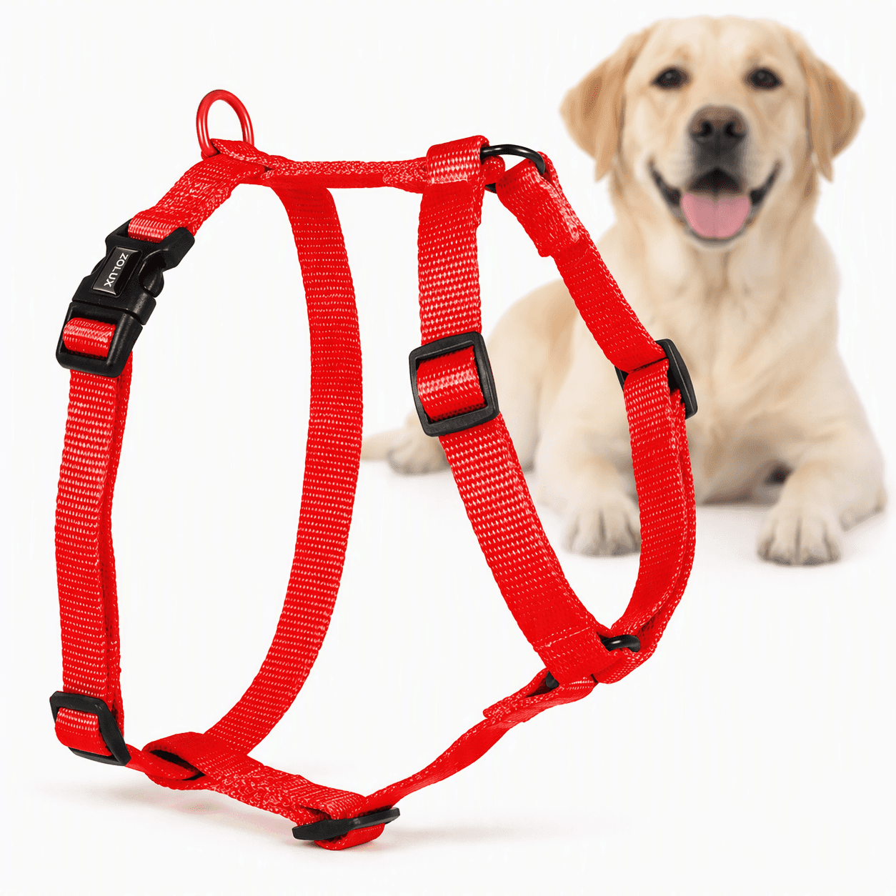 ZOLUX Klassisches Nylon-Hundegeschirr, 60–89 cm, 25 mm, rot – Bild 1