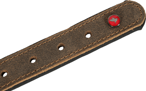 ZOLUX Komfort-Lederhalsband für Hunde, 29–36 cm, 16 mm, braun – Bild 8