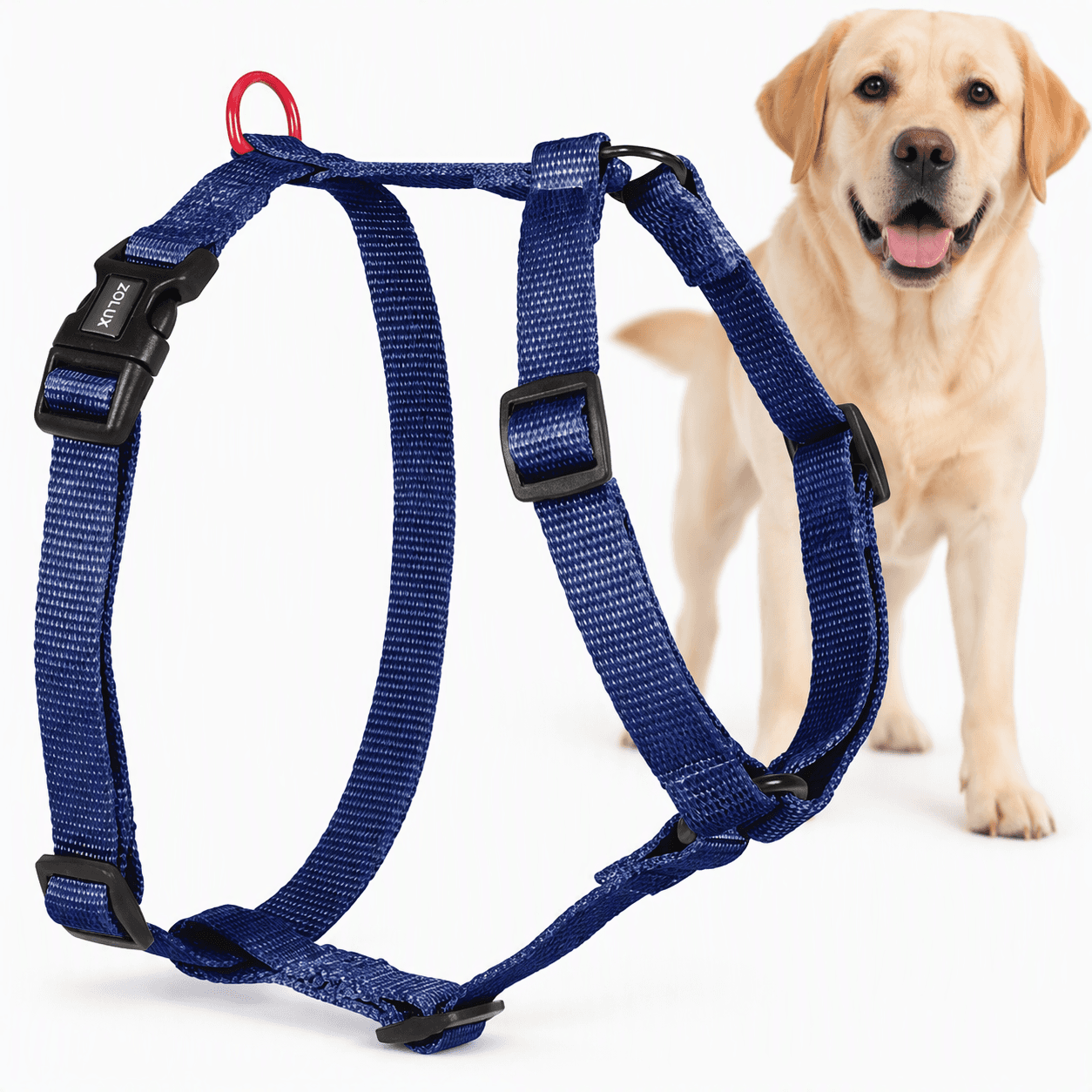 ZOLUX Klassisches Nylon-Hundegeschirr, 60–89 cm, 25 mm, marineblau – Bild 1