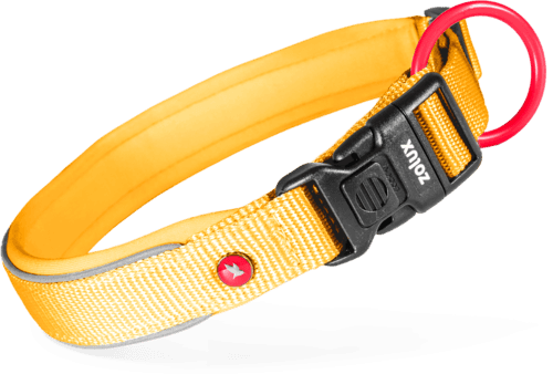 ZOLUX Premium-Nylon-Hundehalsband, Größe L, 45–50 cm, 25 mm, gelb – Bild 3