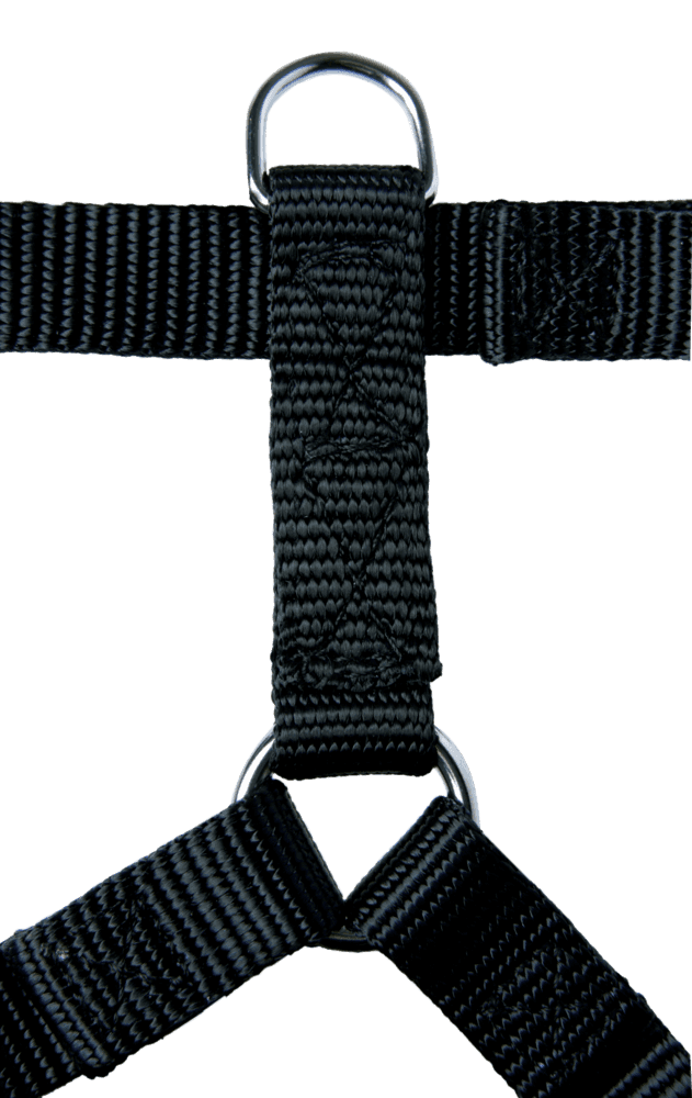ZOLUX Nylon-Hundegeschirr, verstellbar 40–60 cm, 20 mm, schwarz – Bild 2