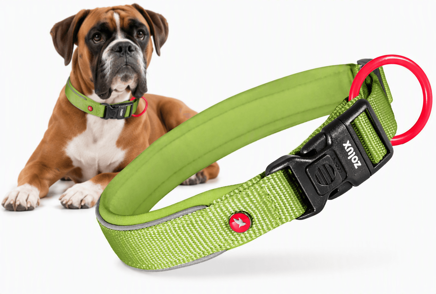 ZOLUX Premium-Nylon-Hundehalsband, Größe XL, 50–55 cm, 25 mm, hellgrün