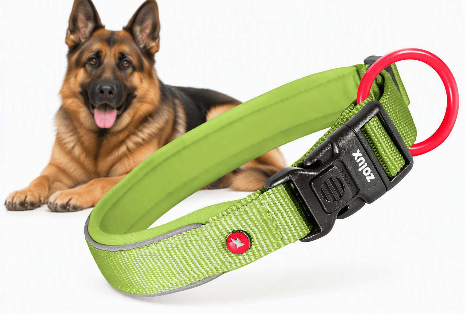 ZOLUX Premium-Nylon-Hundehalsband, Größe L, 45–50 cm, 25 mm, hellgrün