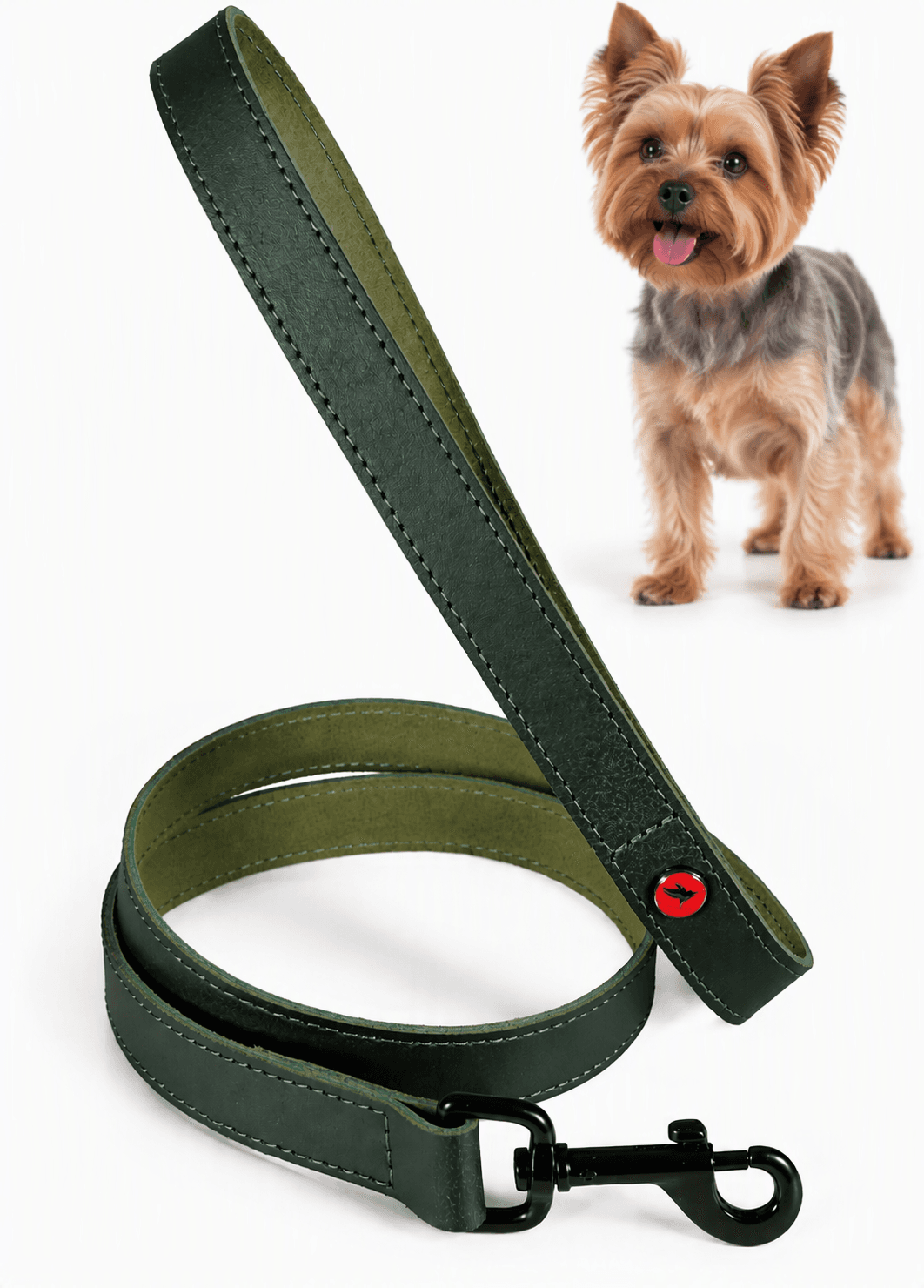 ZOLUX Klassische Lederleine für Hunde, 1 m, 15 mm, grün