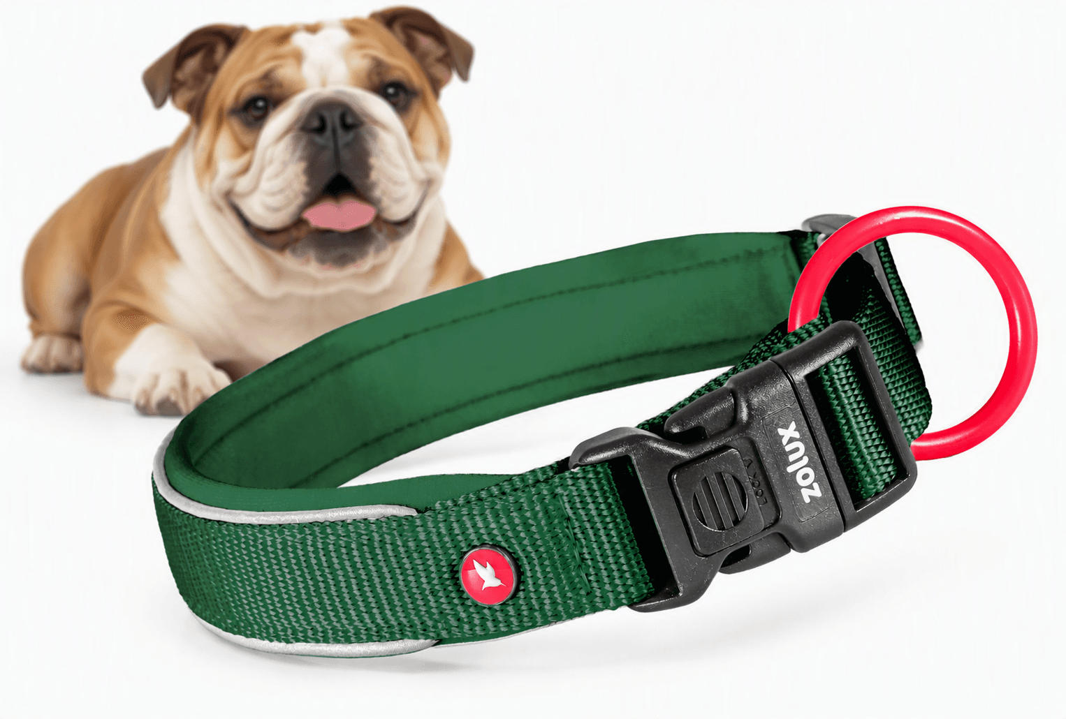 ZOLUX Premium-Nylon-Hundehalsband, Größe S, 35–40 cm, 20 mm, grün