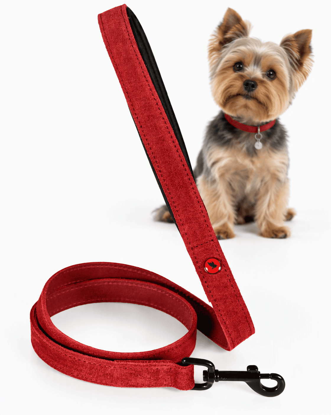 ZOLUX Komfort-Lederleine für Hunde, 1 m, 15 mm, rot